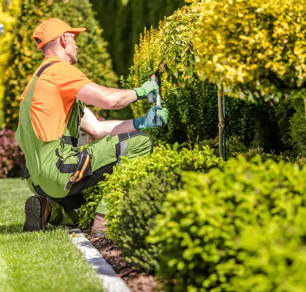 Landscaping Services